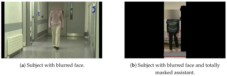 Figure 1 from the Parkinson's severity classification paper