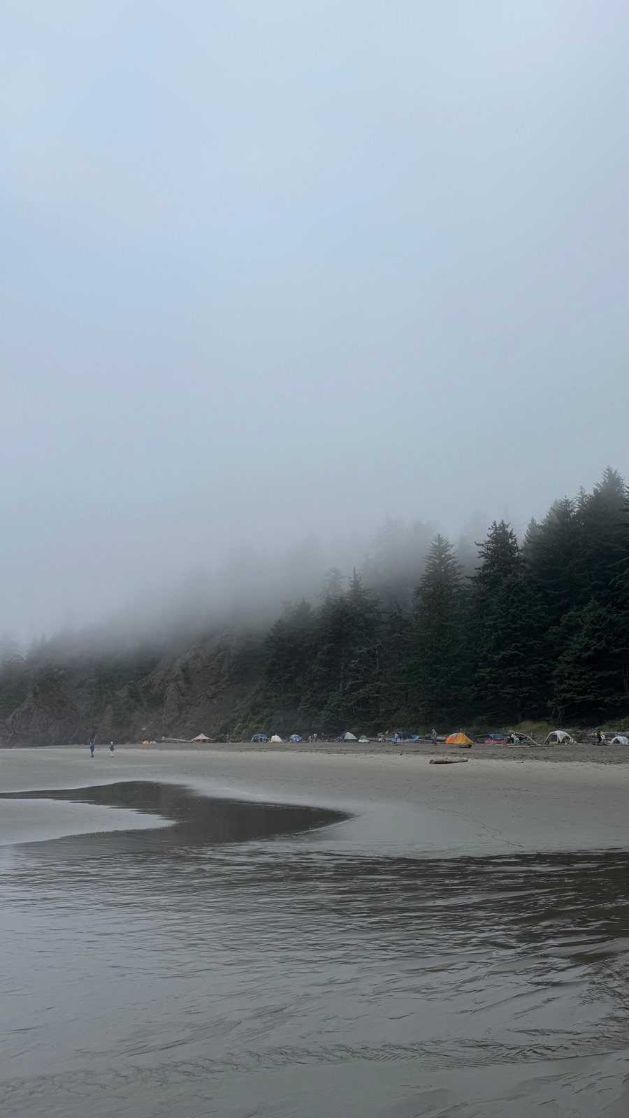 Fog rolling over a forested beach with tents on the sand